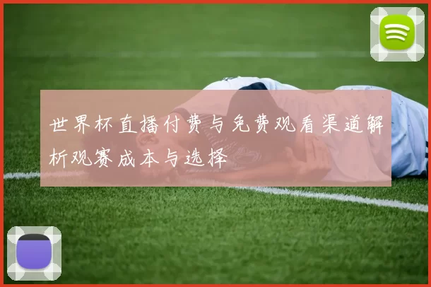 世界杯直播付费与免费观看渠道解析观赛成本与选择