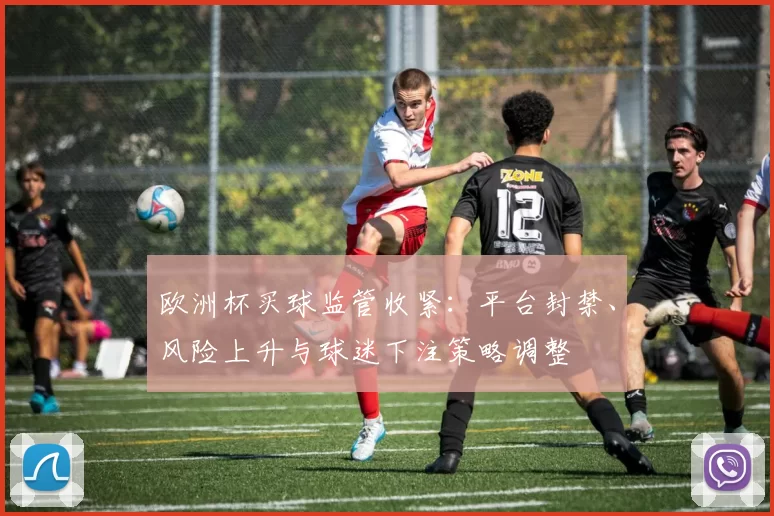 欧洲杯买球监管收紧：平台封禁、风险上升与球迷下注策略调整