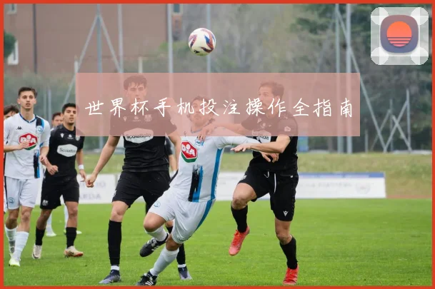 世界杯手机投注操作全指南